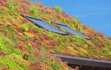 Bighton living roof systems