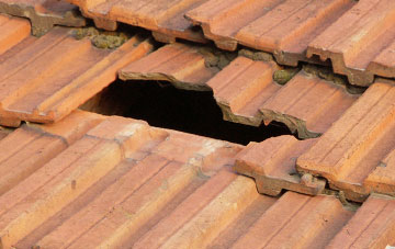 roof repair Bighton, Hampshire